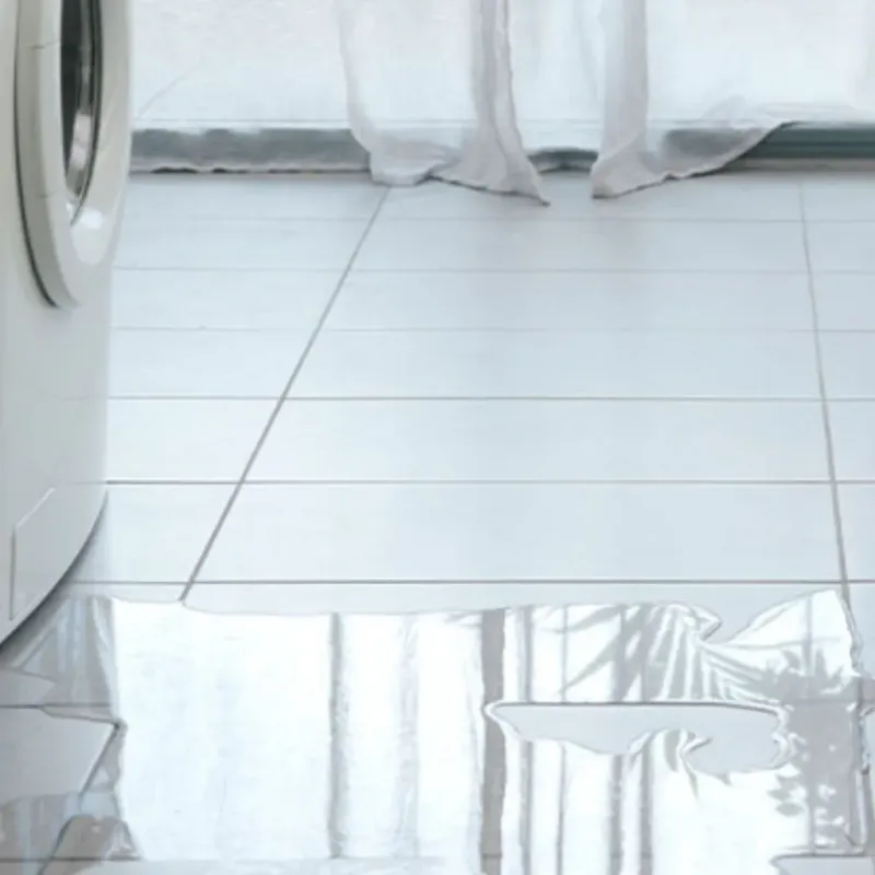 Appliance Leak Cleanup in Urania, LA