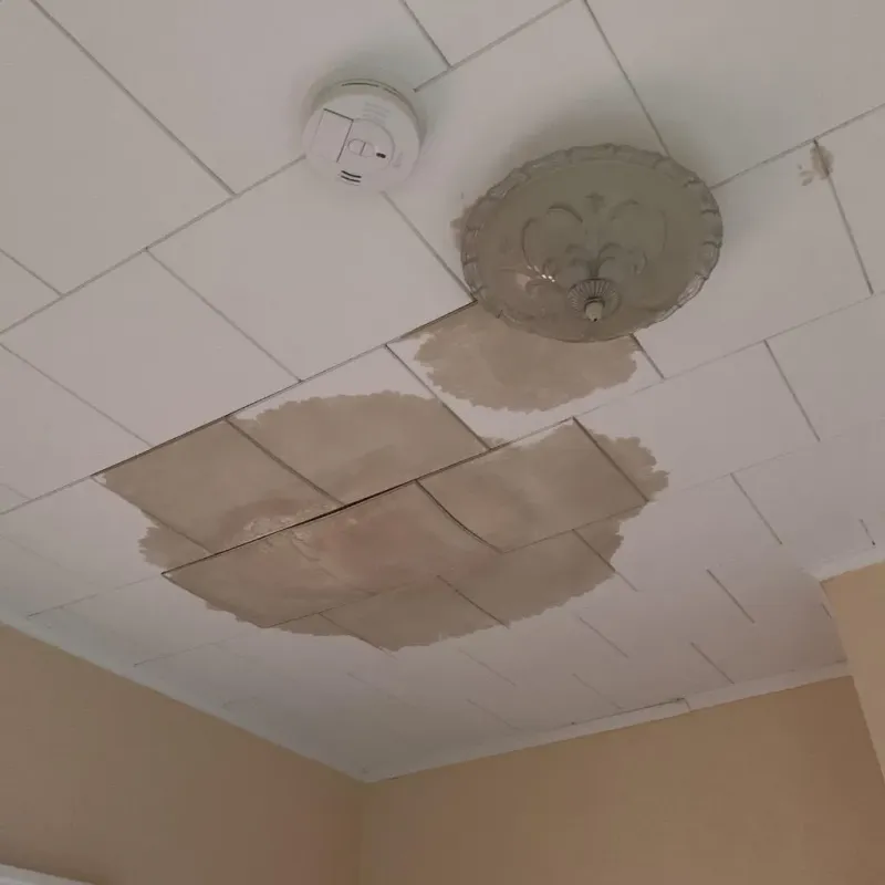 Ceiling Water Damage Repair in Urania, LA