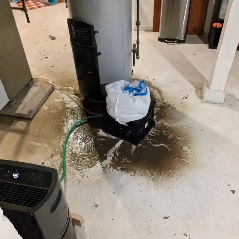 Sewage Backup Cleanup Service in Urania, LA